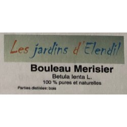 Bouleau merisier BIO 10ml