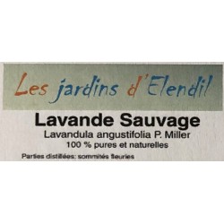 Lavande fine Sauvage  10ml
