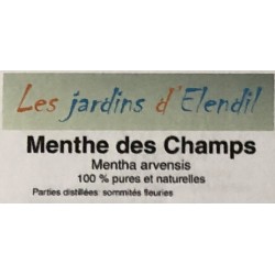 Menthe des Champs BIO 5ml