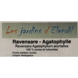 Ravensare (Agatophylle) BIO...