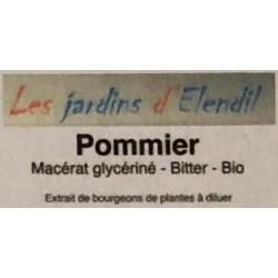 Pommier - Macérat mère...